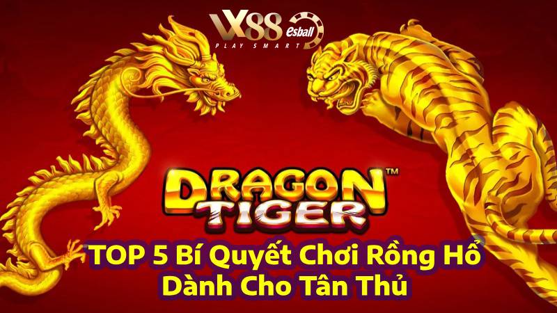 Game Rồng Hổ Online là gì? Luật chơi cơ bản cần nắm bắt về Rồng Hổ