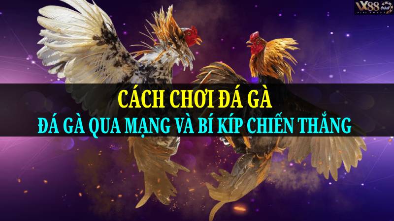 Cách Chơi Đá Gà: Đá Gà Qua Mạng Và Bí Kíp Chiến Thắng