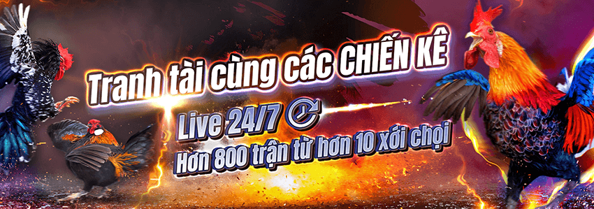 Đá Gà BB - Miệt Mài Nhận Thưởng