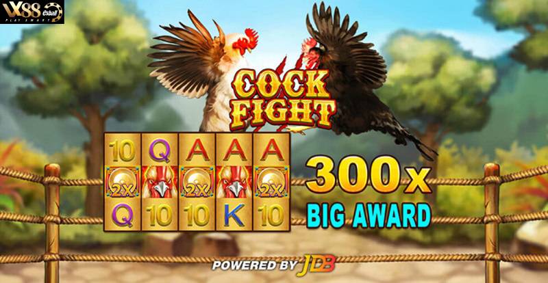 JDB Cock Fight Slot Game