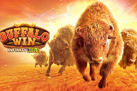 PG Soft Buffalo Win Casino Slot Demo